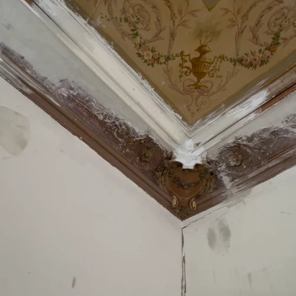 plafond-marron